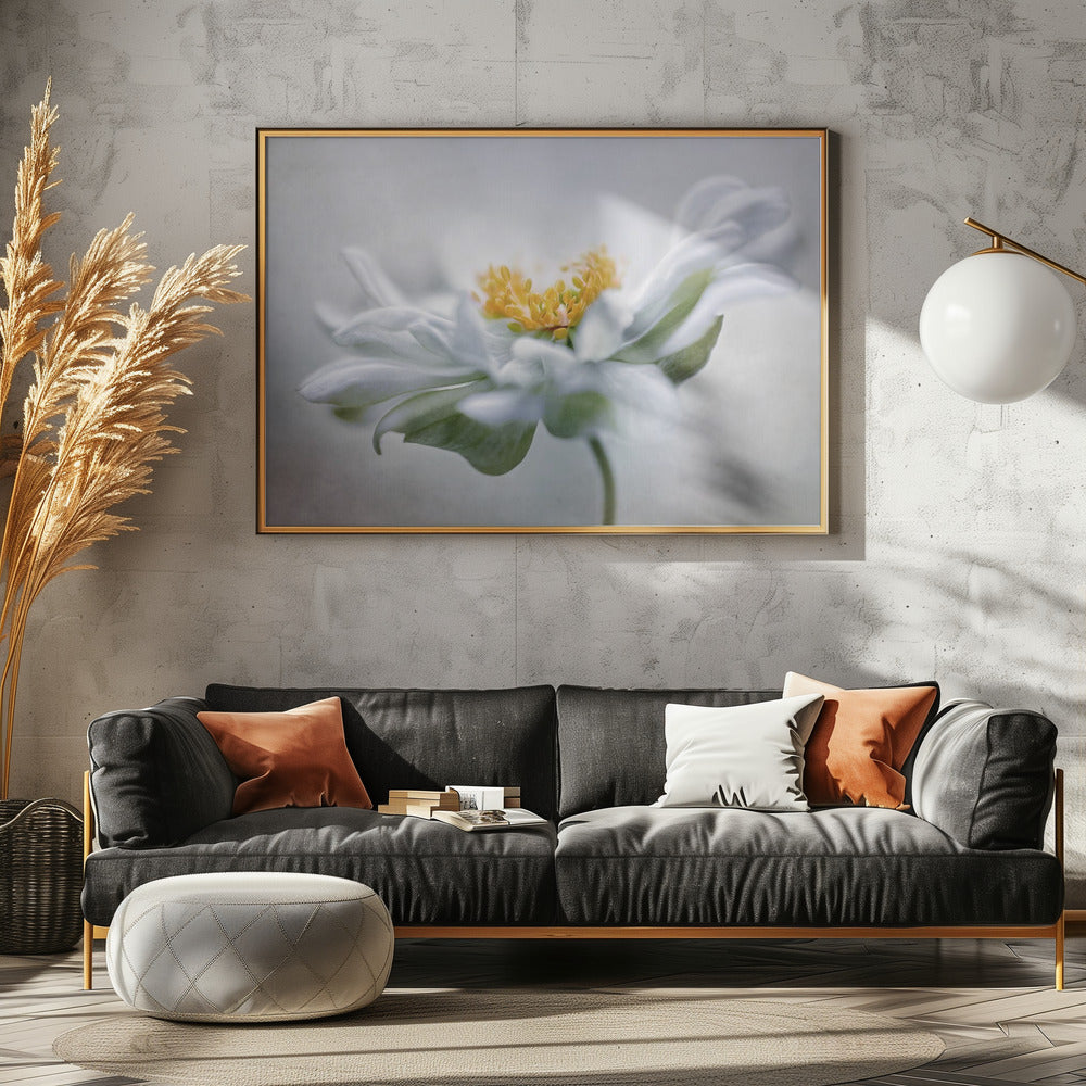 Anemone | Leinwand