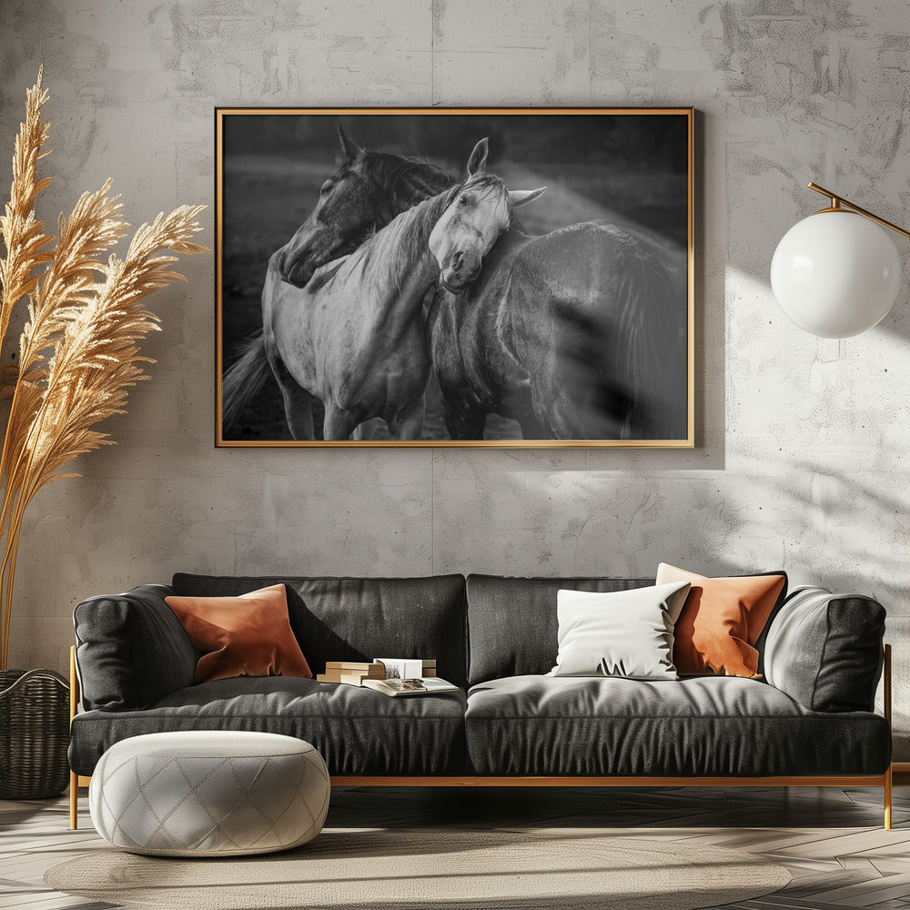 Warm rain | Canvas