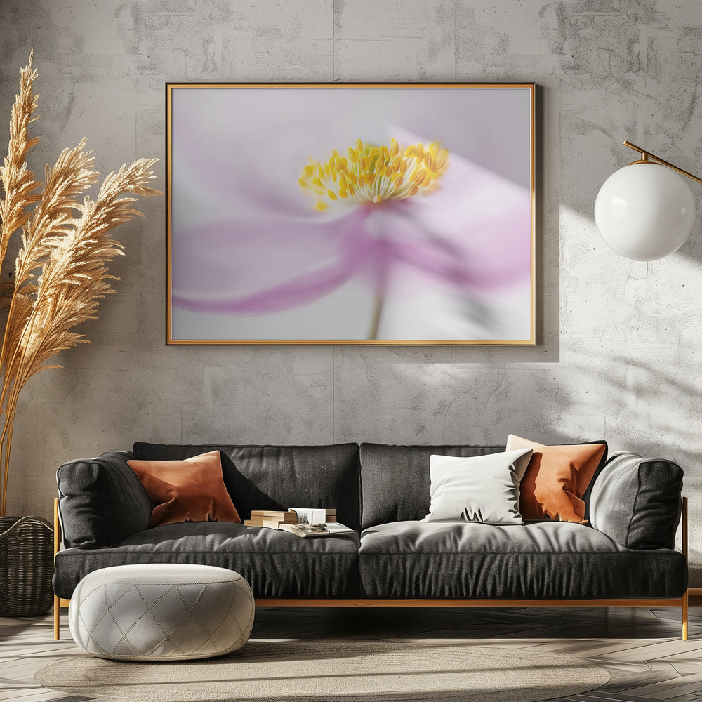 *Anemone* | Leinwand