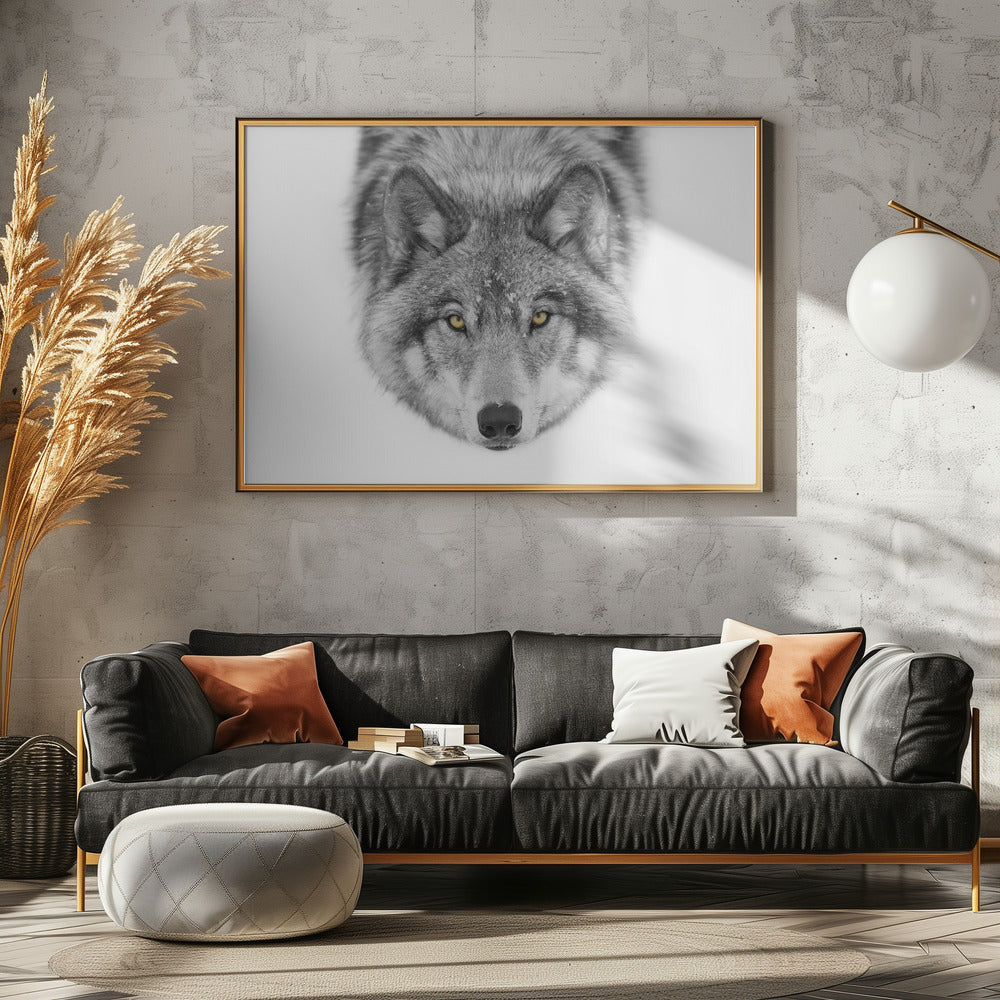 Gelbe Augen - Timberwolf | Leinwand