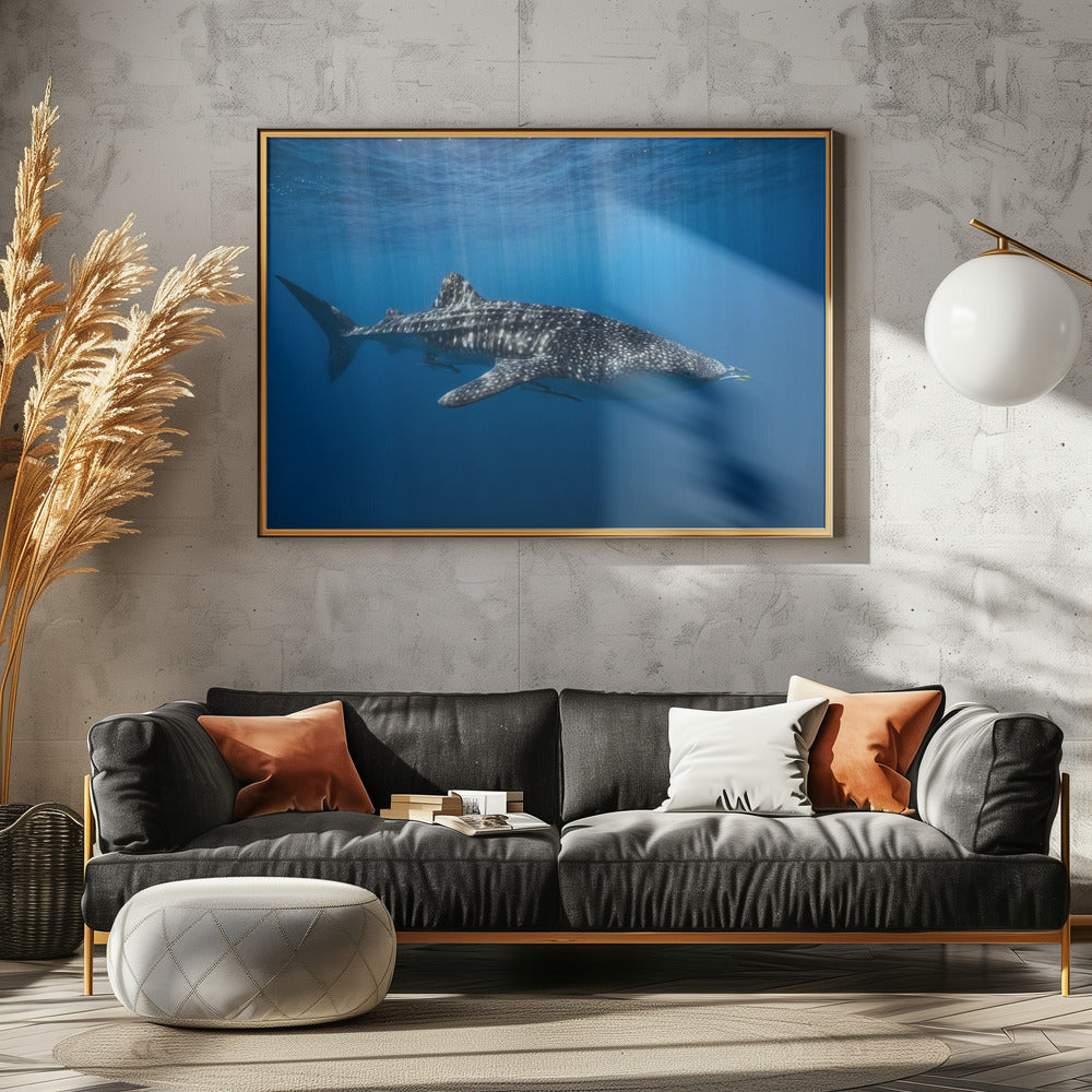 Walhai im Blauen | Leinwand