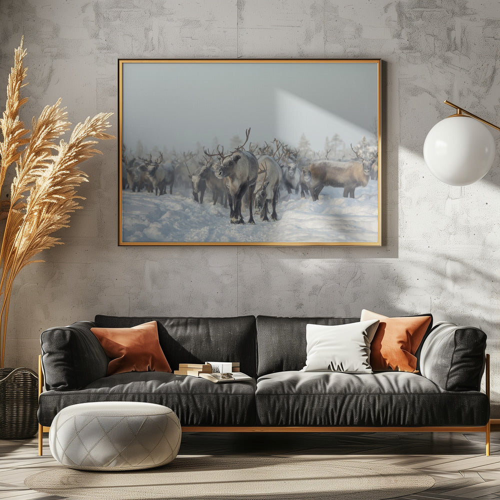 Rentiere | Poster