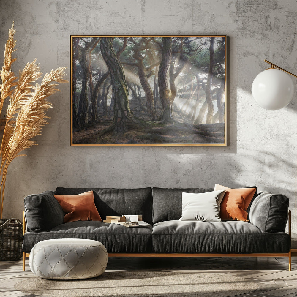 Heilige Kiefern | Poster