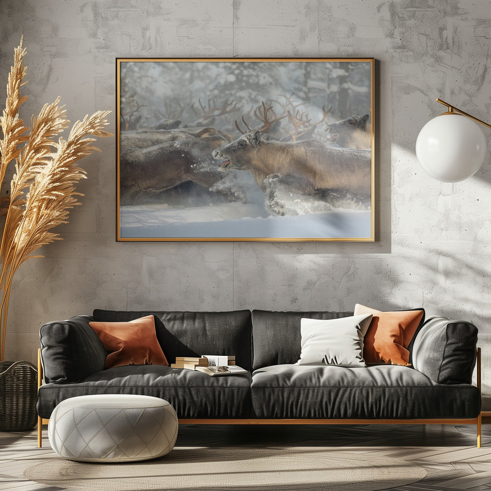 Rentiere III | Poster