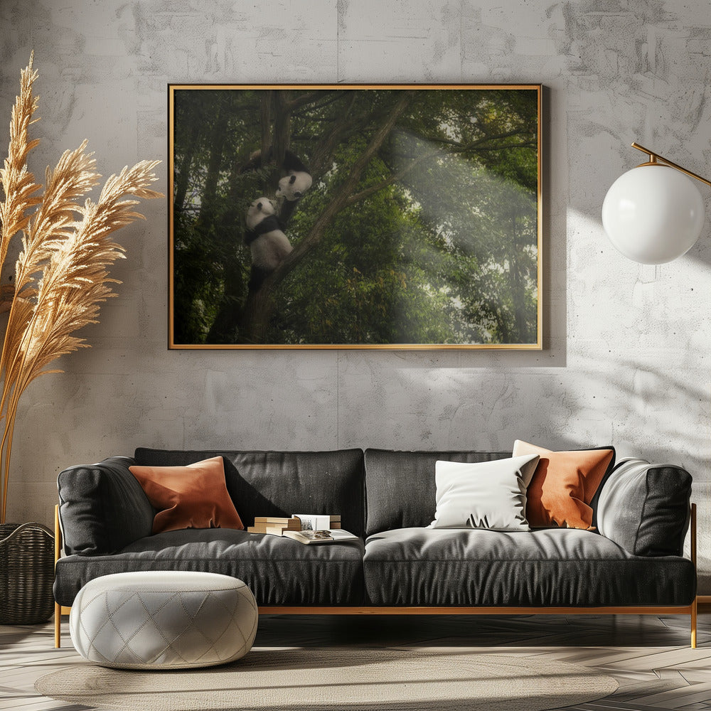 Panda | Leinwand