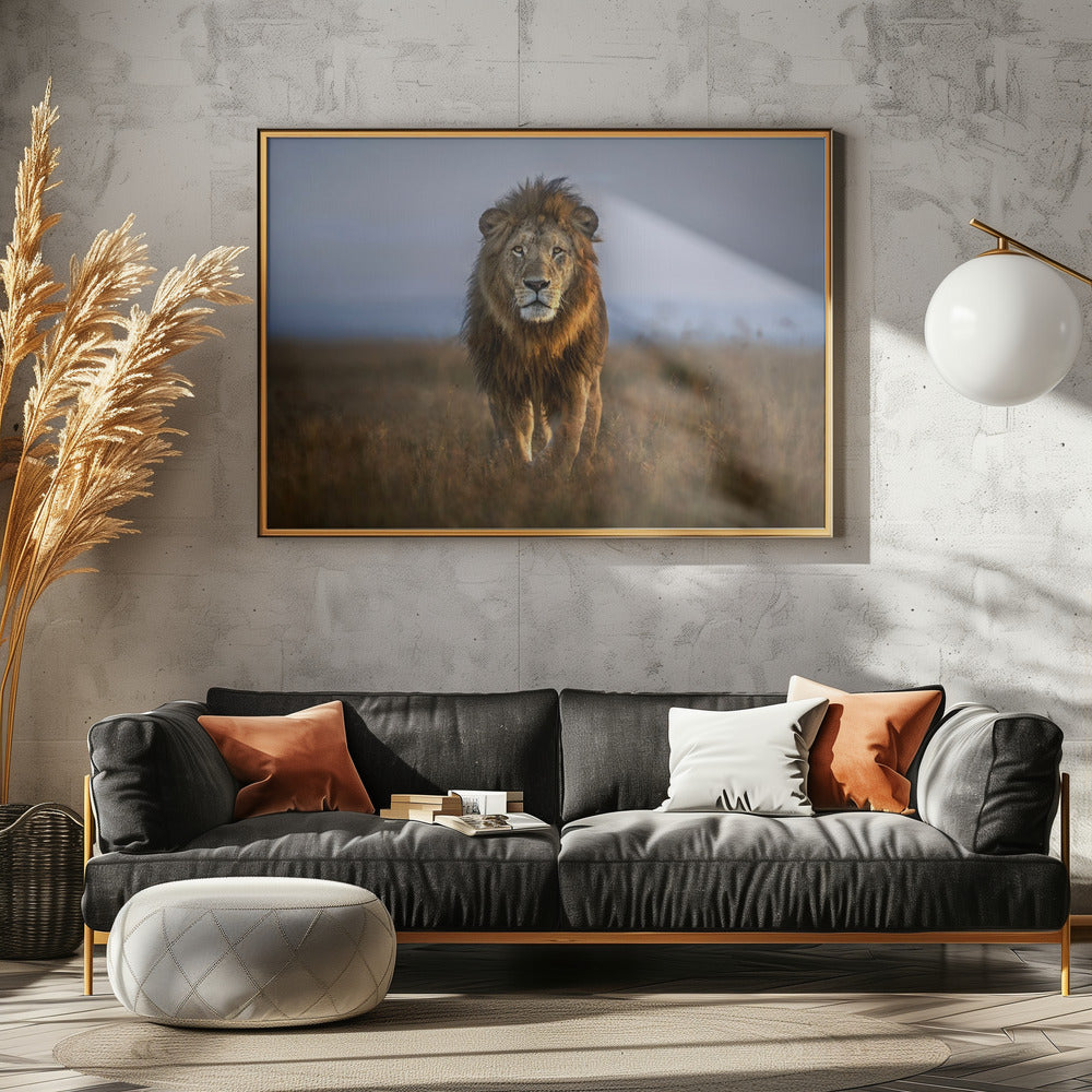 Löwe Nahaufnahme | Leinwand