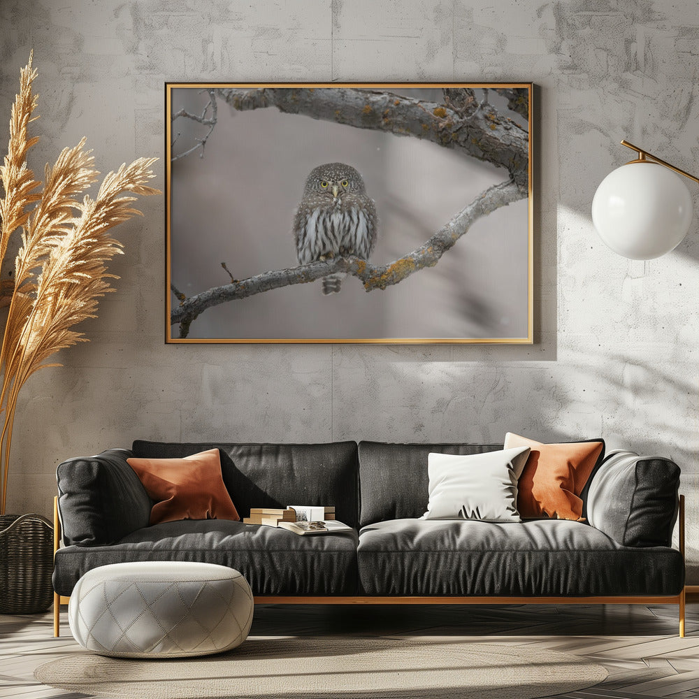 Kleiner Kerl im Schnee | Poster