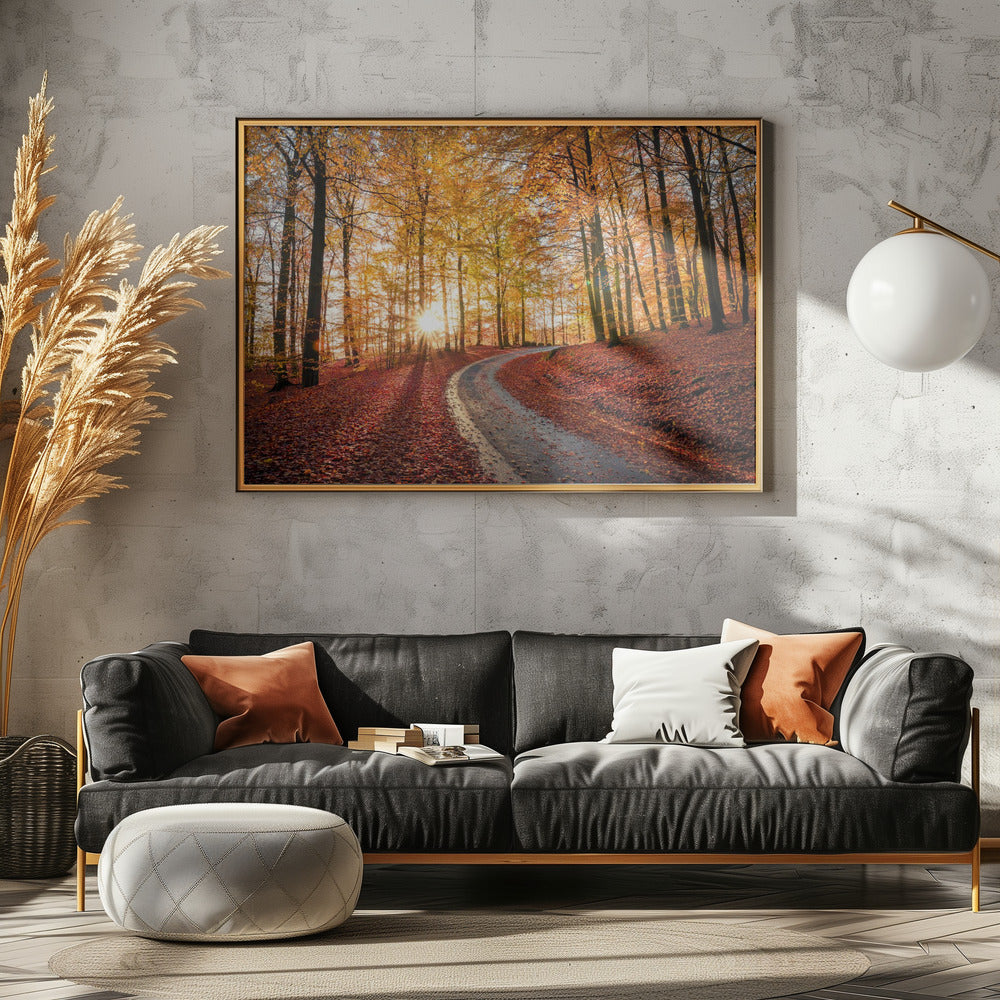 Straße im Nationalpark Söderåsen, Schweden | Leinwand