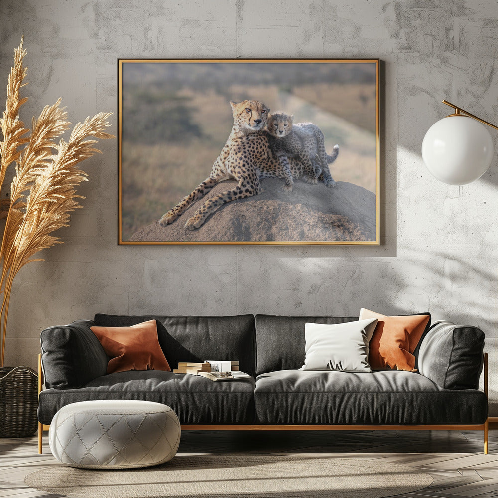 Cheetah and cup! | Poster
