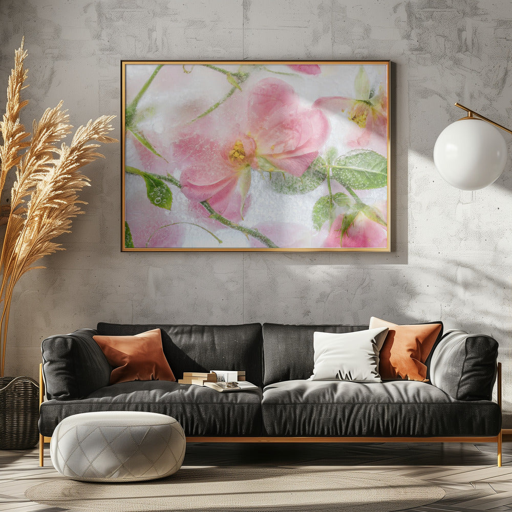 Rosa | Canvas