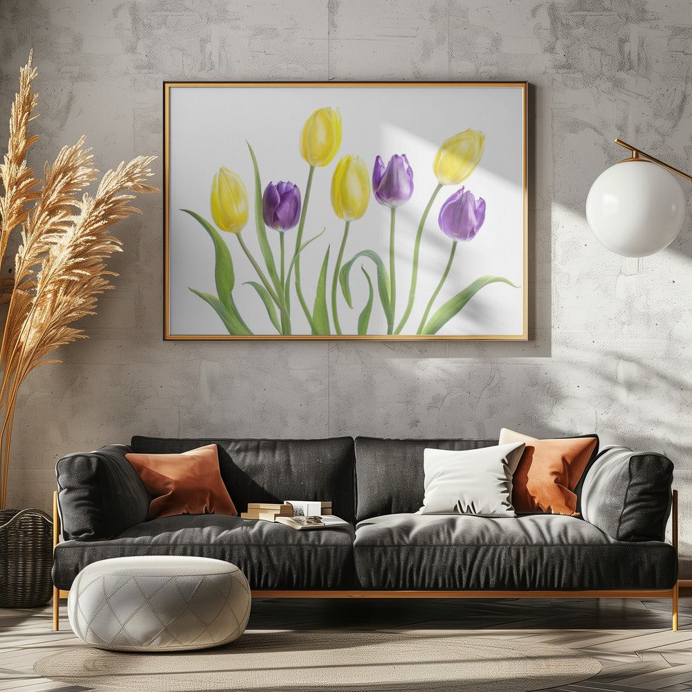 Tulpe | Leinwand