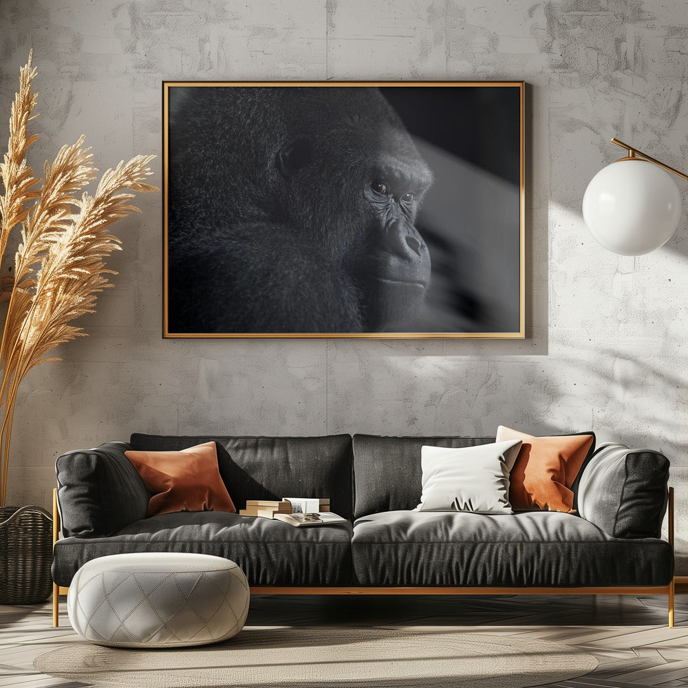 Gorillablick | Leinwand