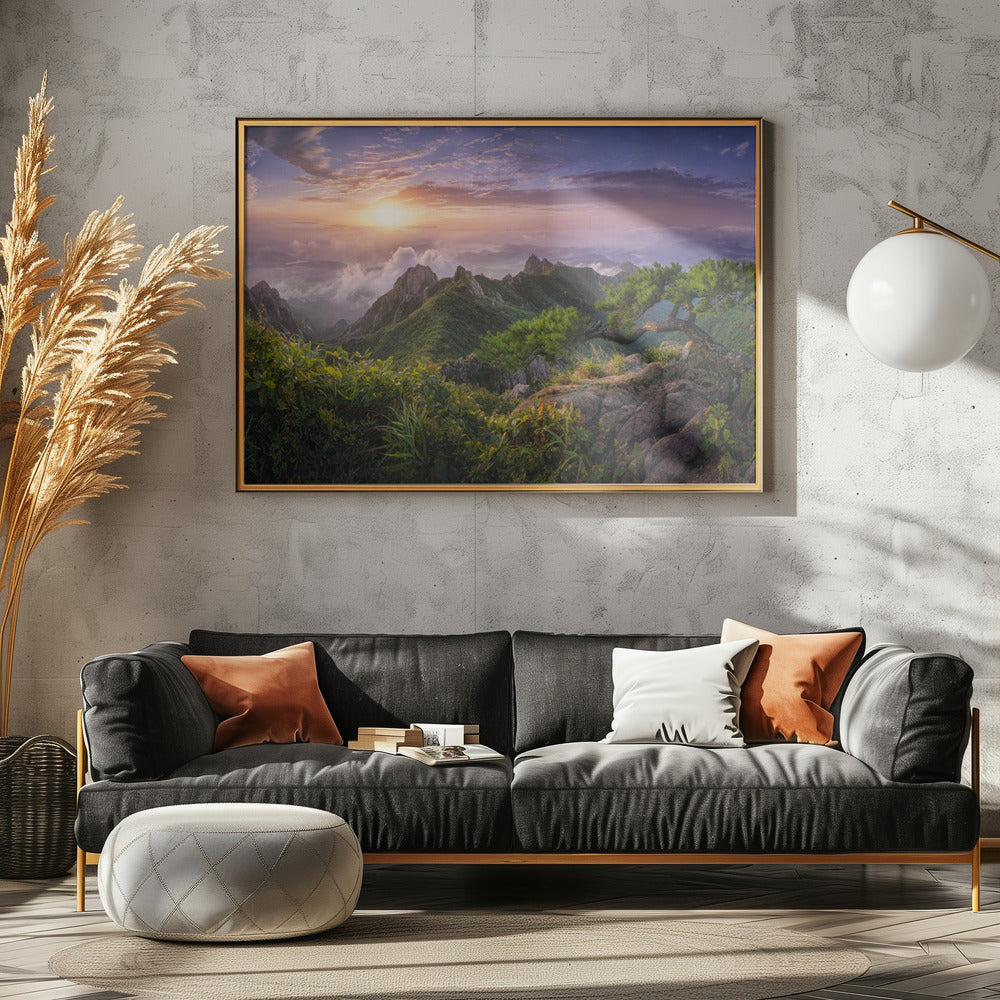 Pine tree on the rock | Poster