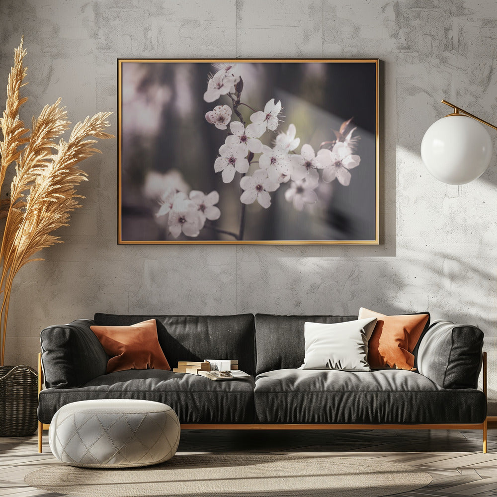 Blüten | Poster