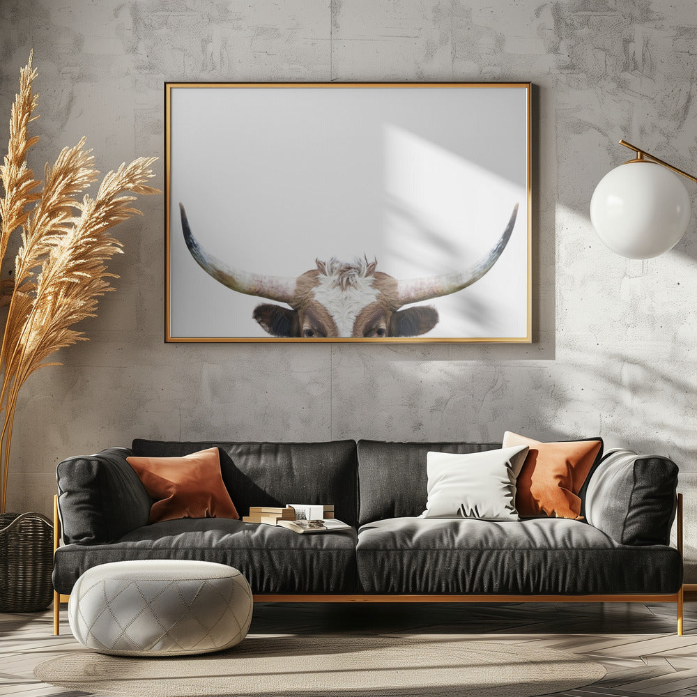 Guckende Longhorn-Kuh | Leinwand