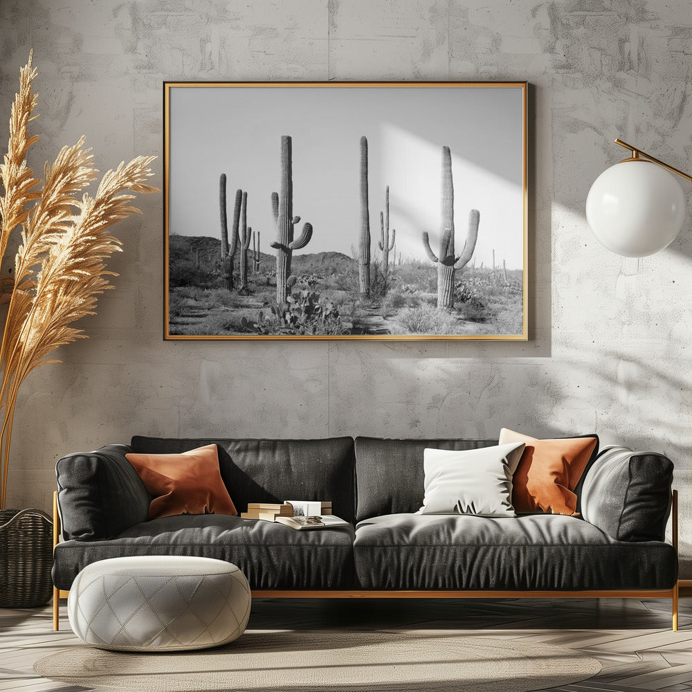 Graues Kaktusland | Poster