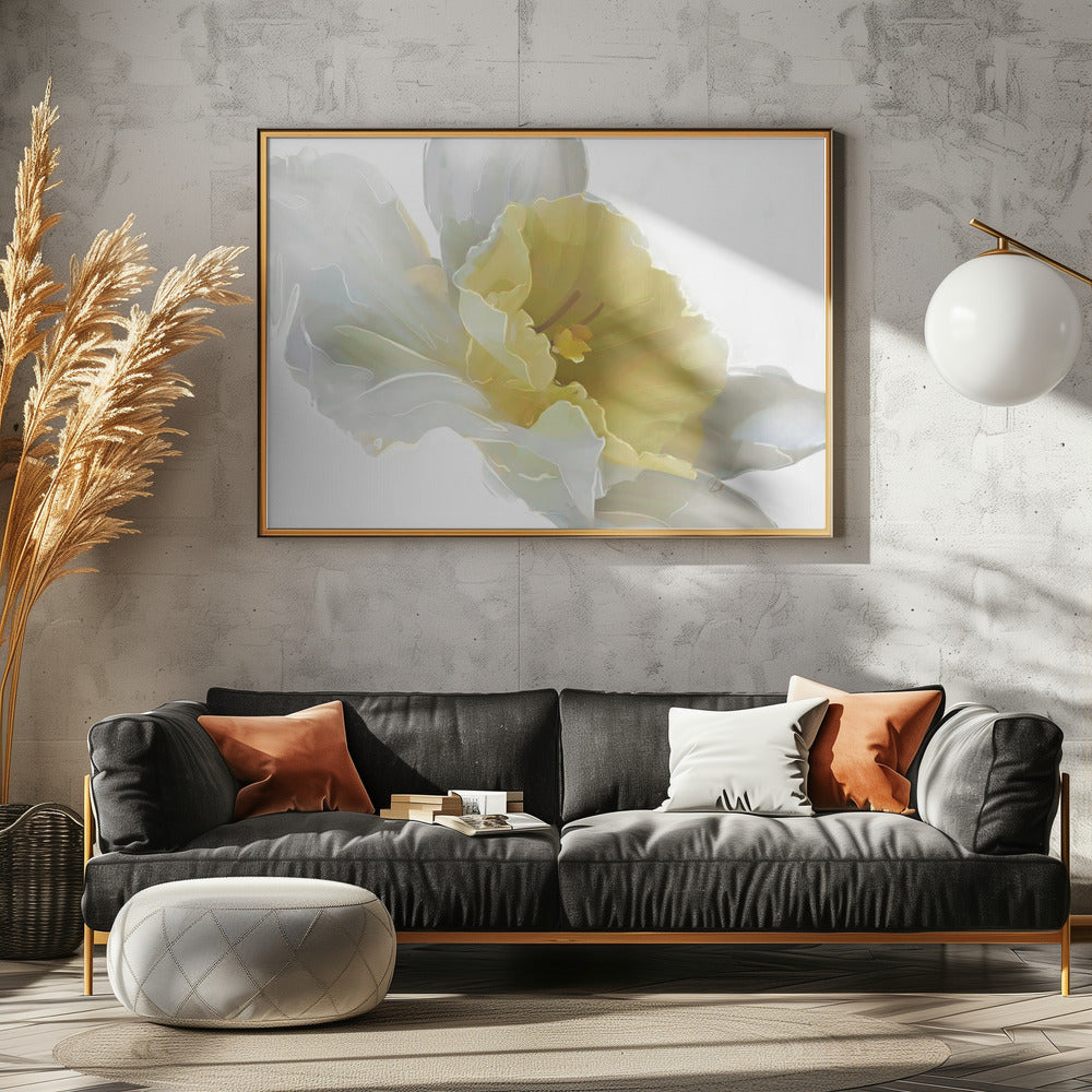 Daffodil | Poster