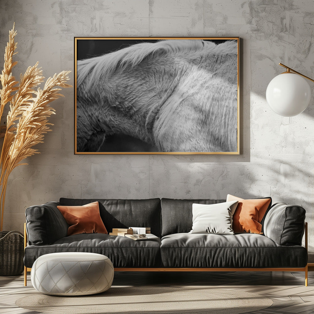 Pferd II | Leinwand
