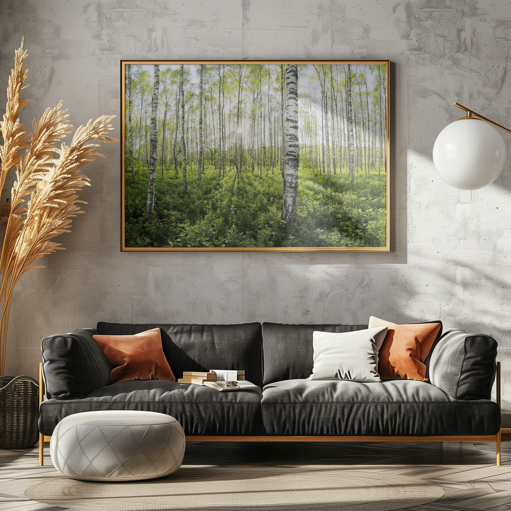 Frühling im Birkenwald | Poster