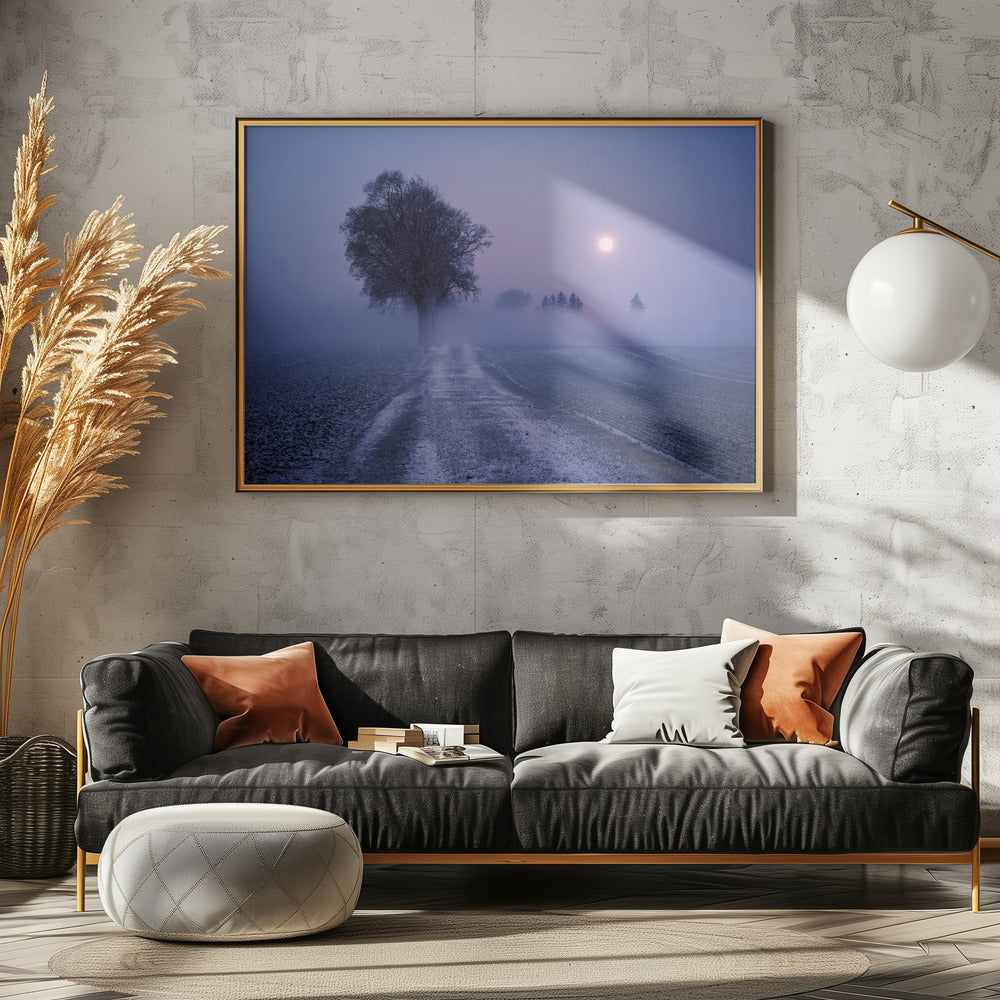 Mondbeleuchteter Pfad | Leinwand