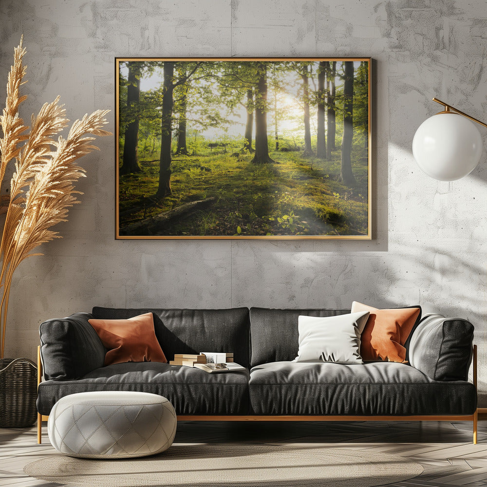 Summer in the Woods | Poster