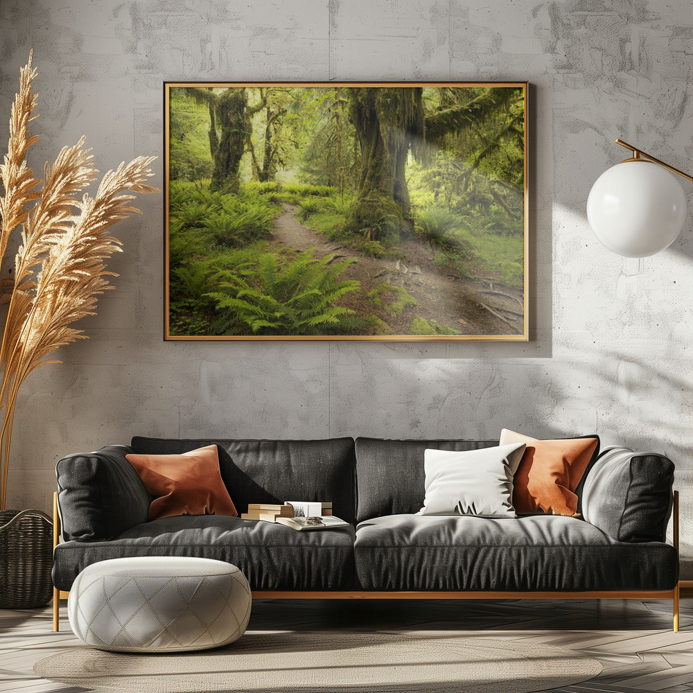 Hoh Regenwald | Leinwand