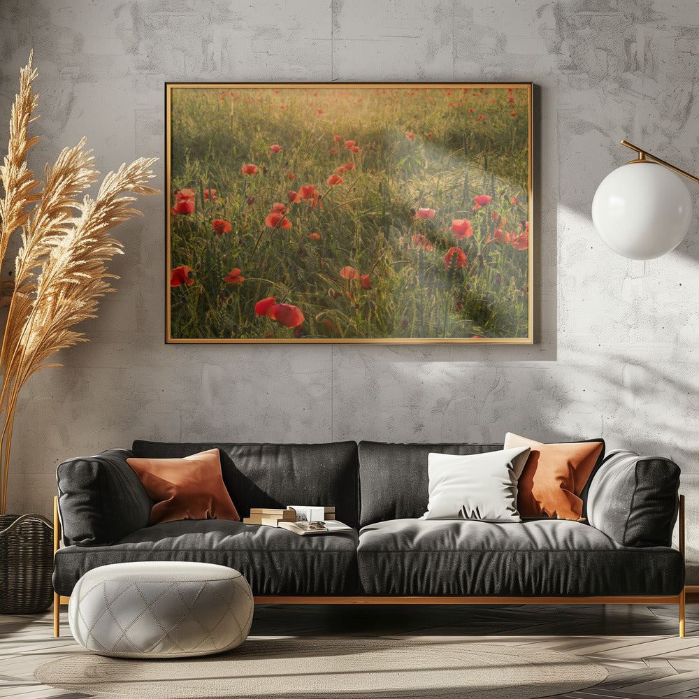 Poppy World II | Poster