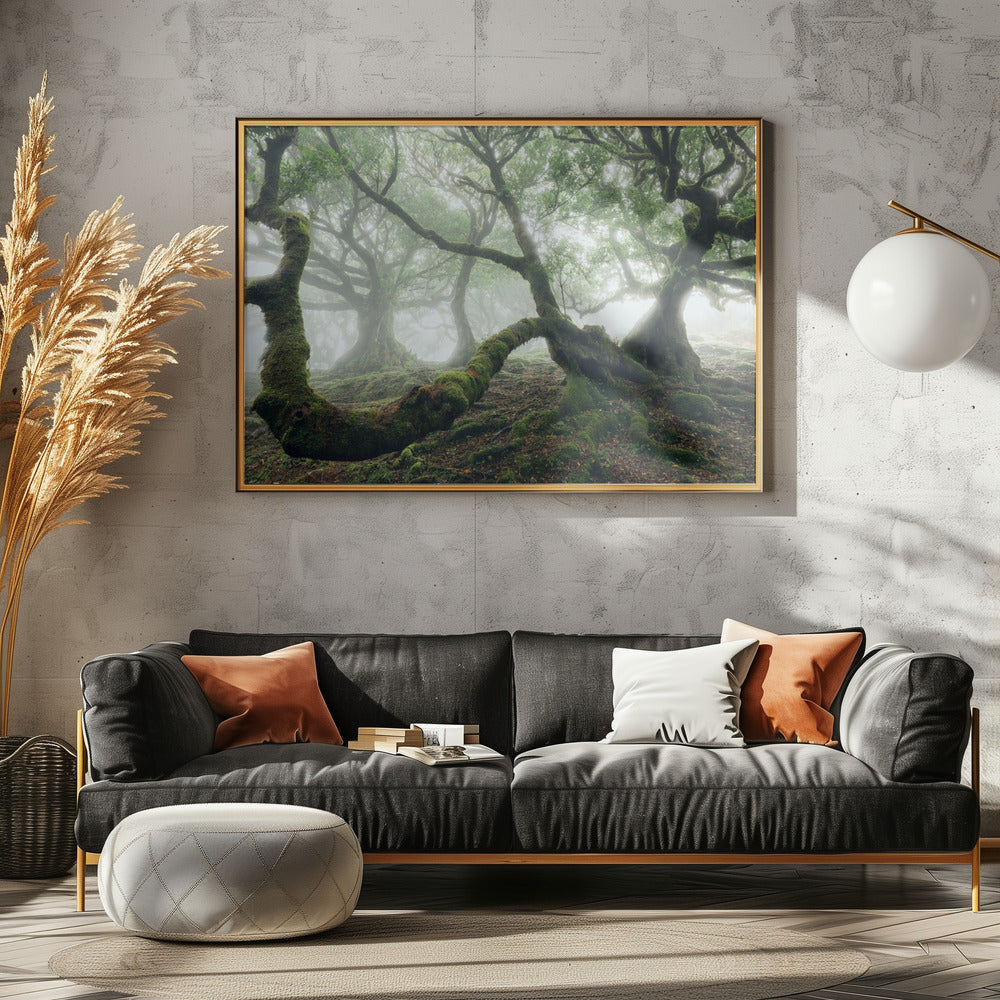 Mystischer Lorbeerwald | Leinwand