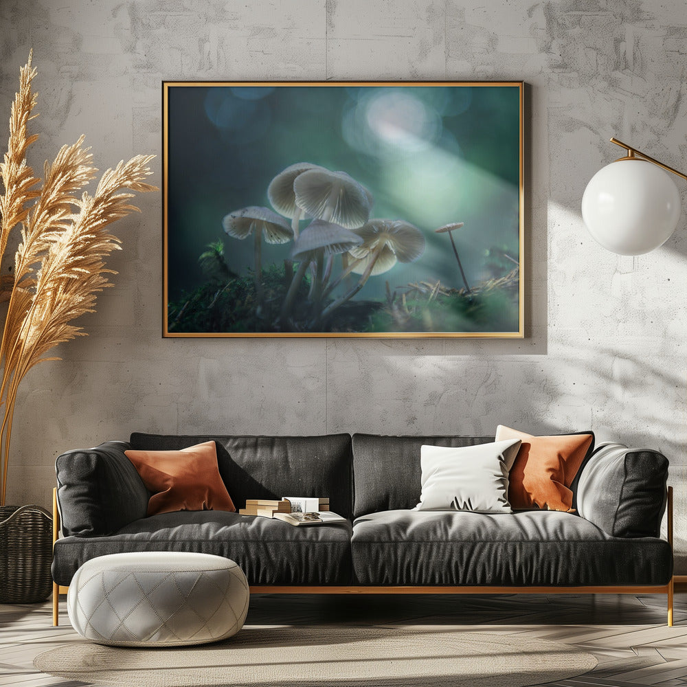 Waldträume | Poster
