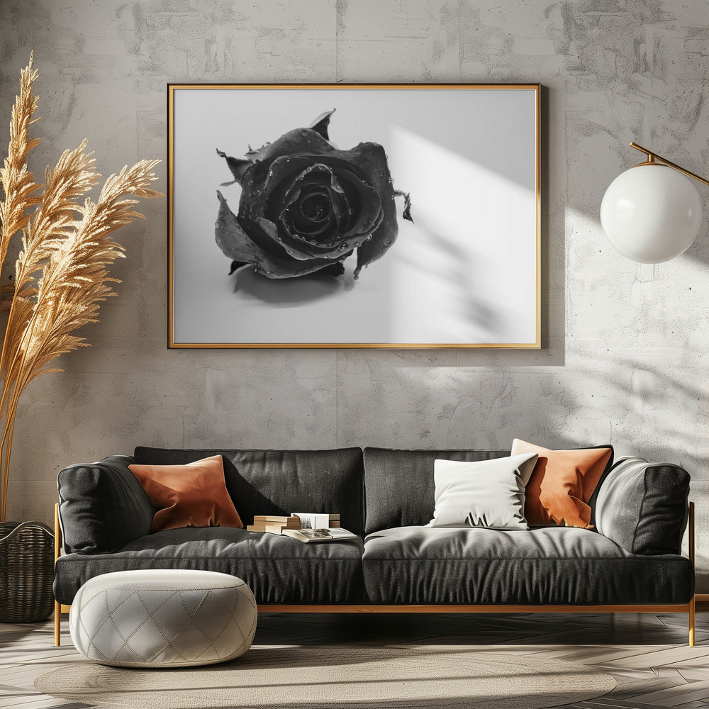Rose Noir | Leinwand