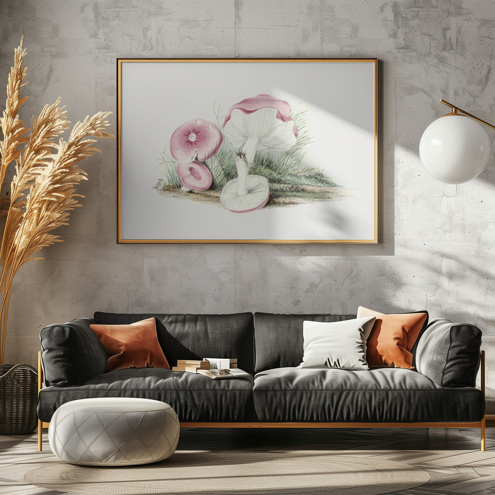 Vintager Russula Emetica Pilz Poster