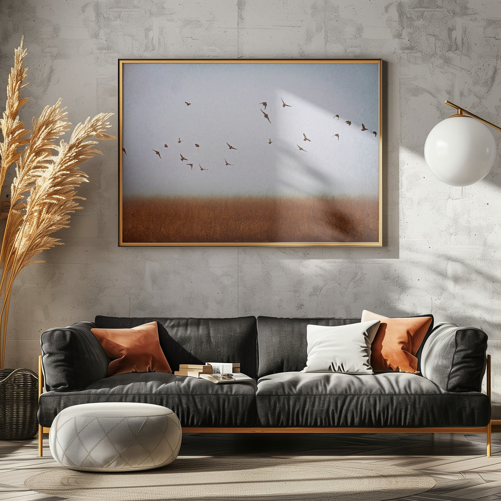 freedom | Poster