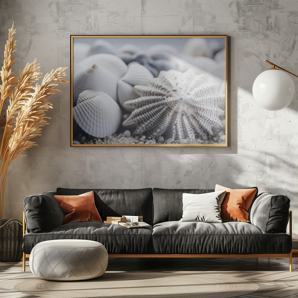 Seashell Serenity | Canvas