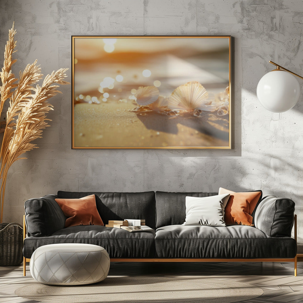 Sonnenbeschienene Muscheln | Poster
