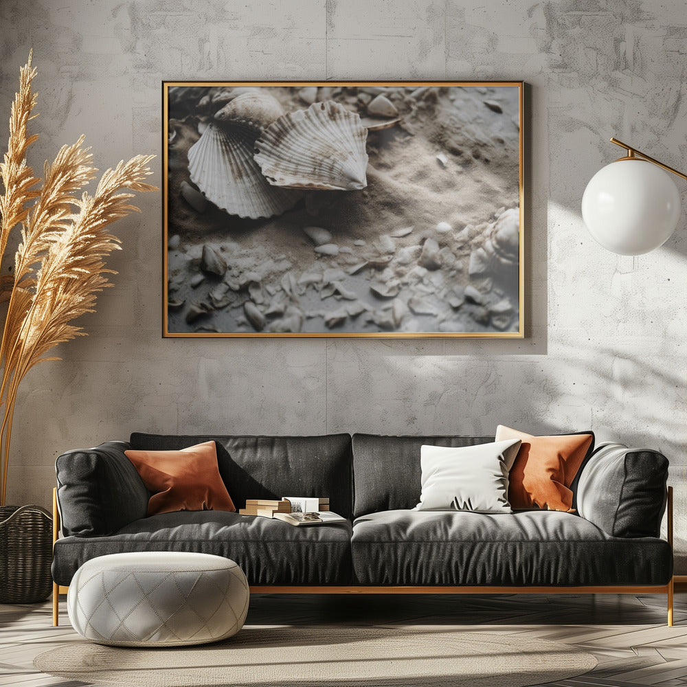 Seashell Serenity | Canvas