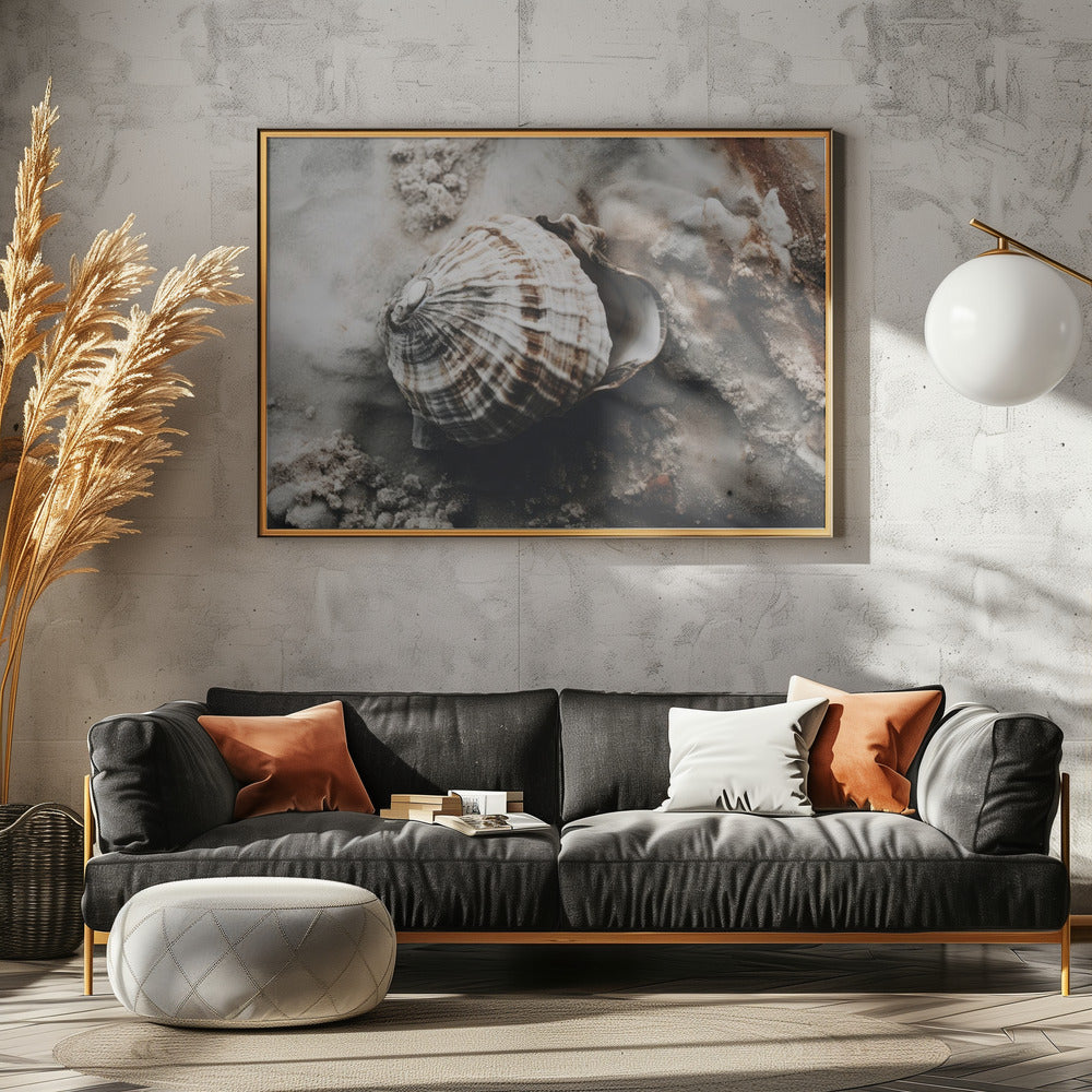 Muschel-Gelassenheit | Poster