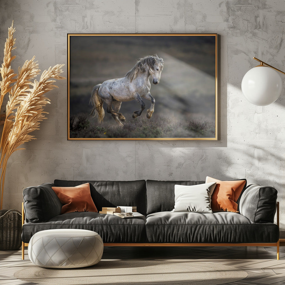 Mustang, Wildpferd / Equus ferus caballus | Poster