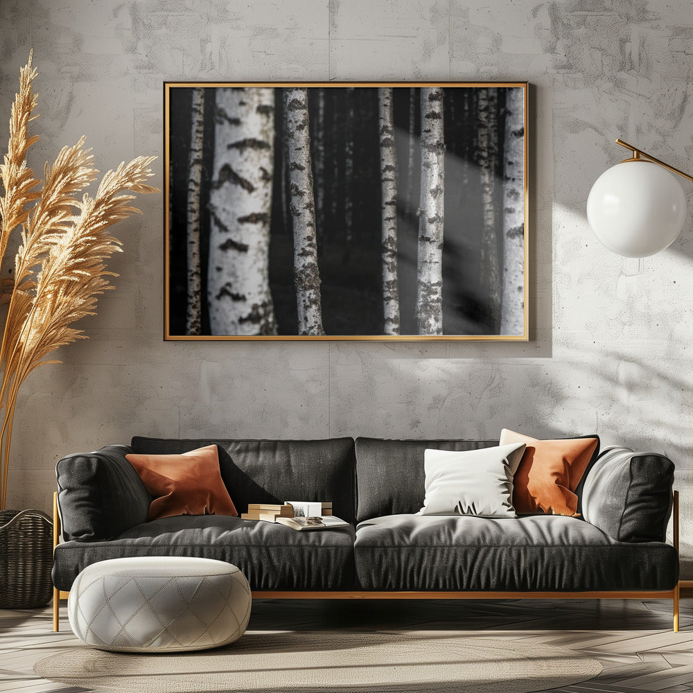 Birken 8 | Poster