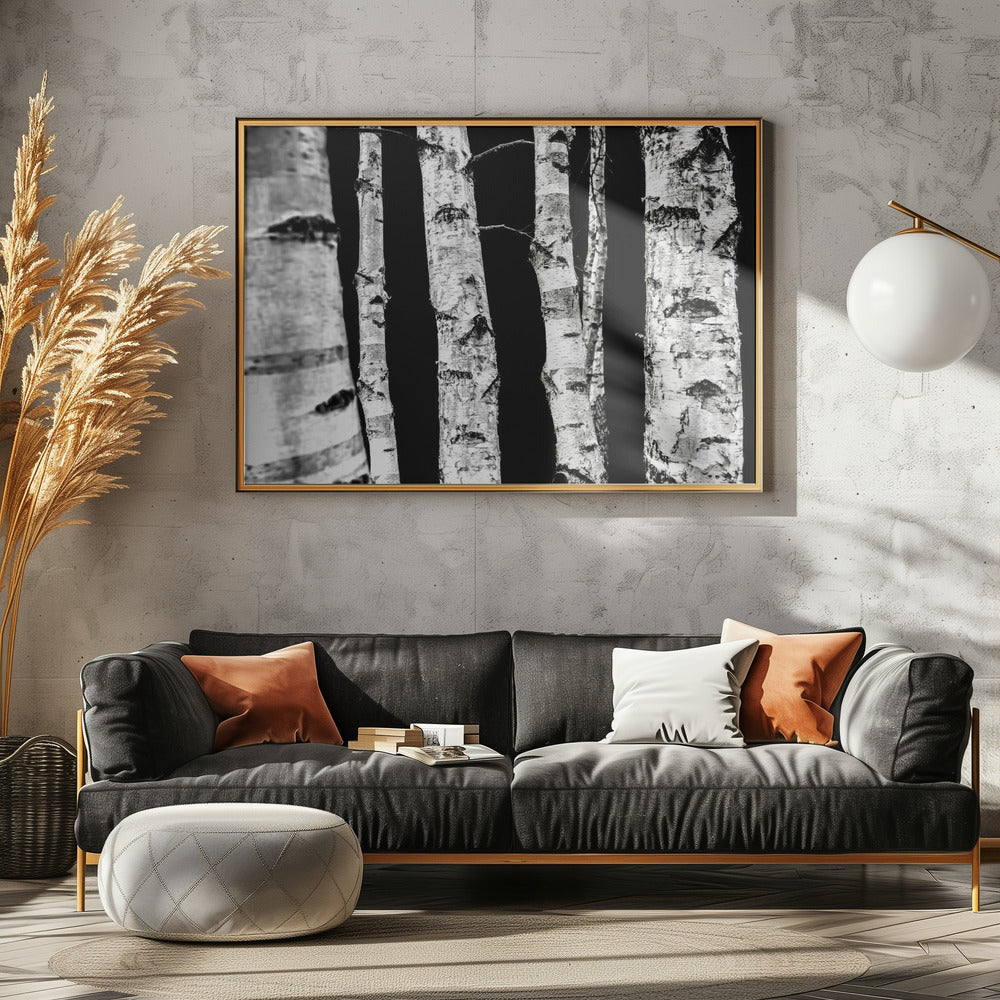 Birken | Poster