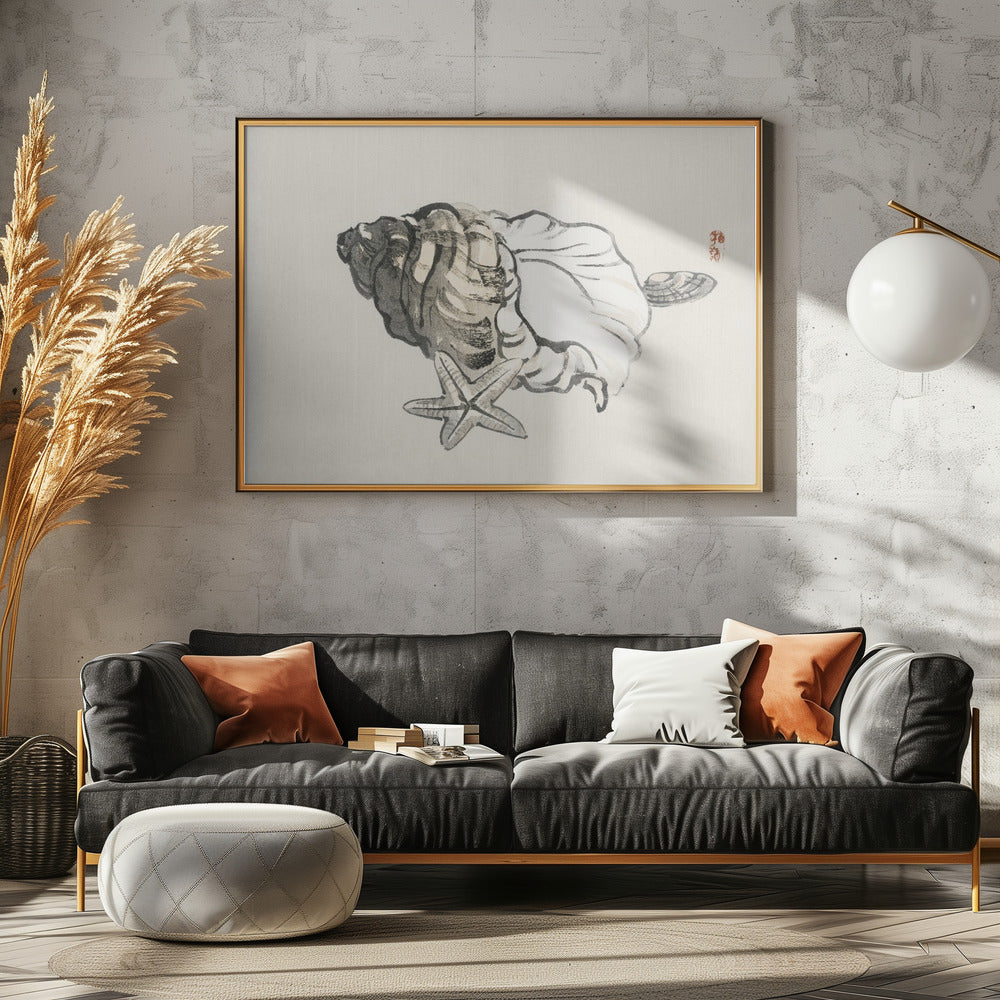 Star Fish and Conch | Poster