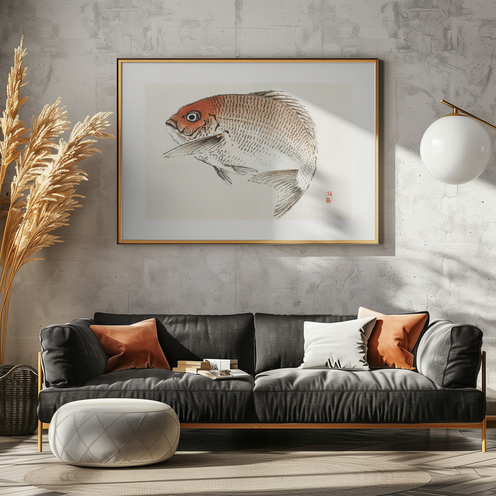 Tai (red Seabream) Fish | Canvas