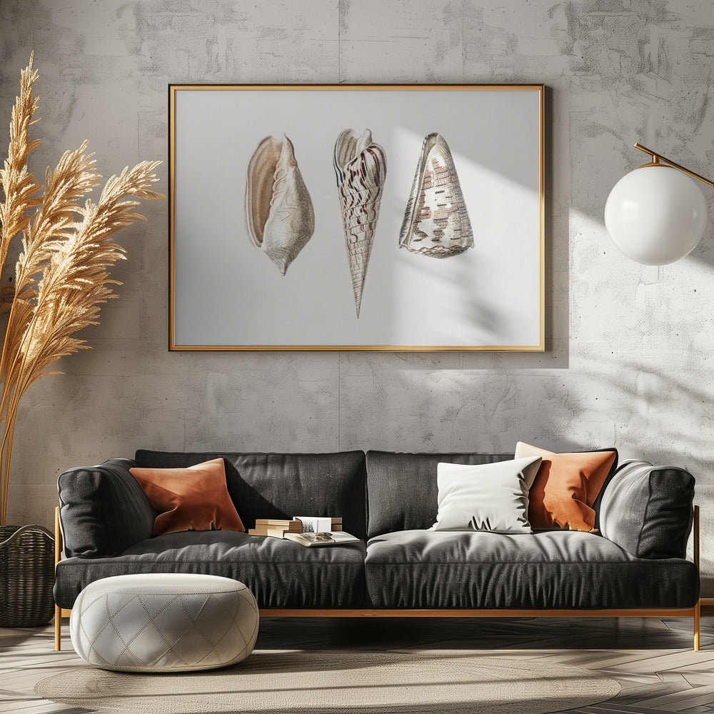 Drei Weichtiere Crop | Leinwand
