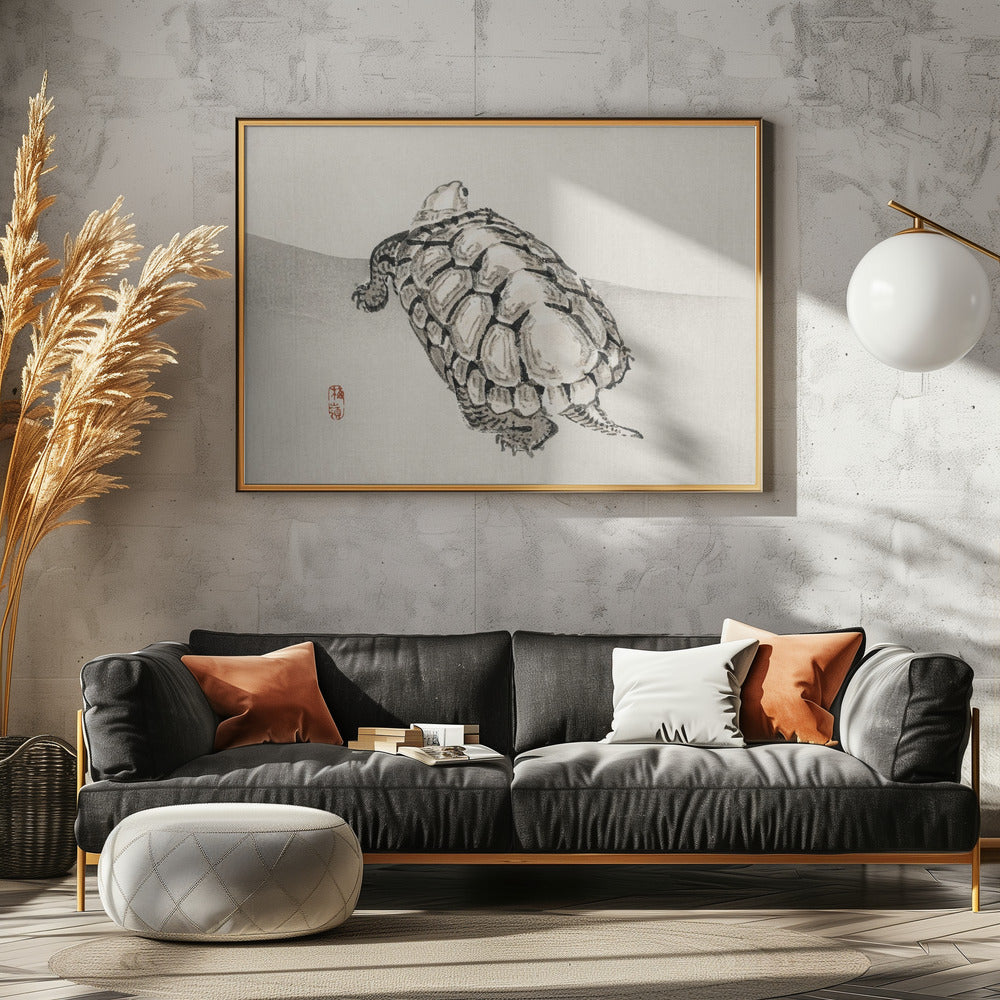Turtle | Canvas