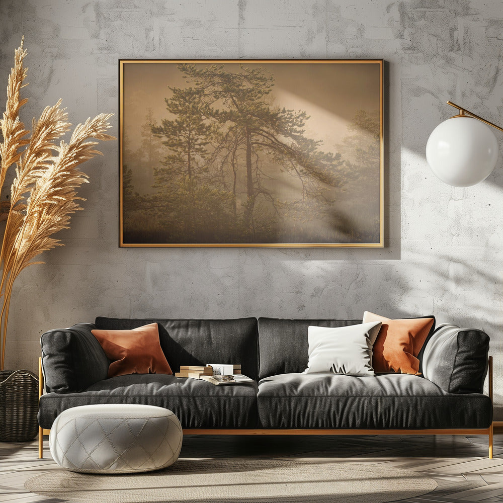 20220809 Dsf8003 1 | Poster