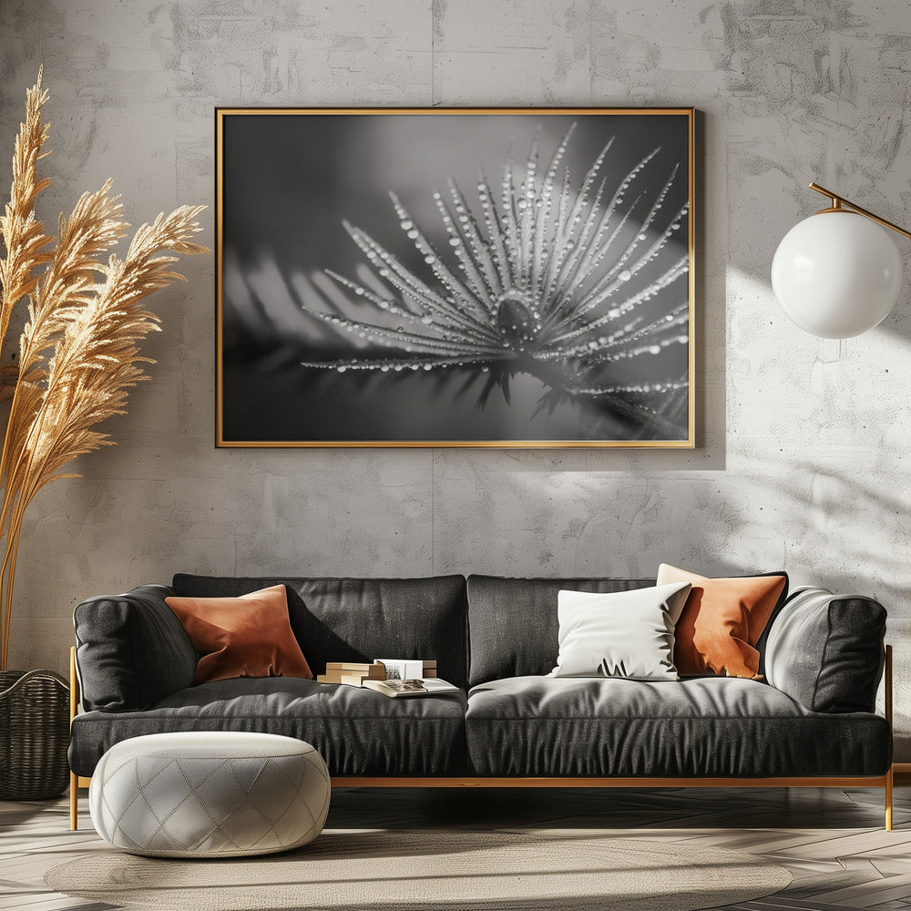 Dewy Elegance | Canvas