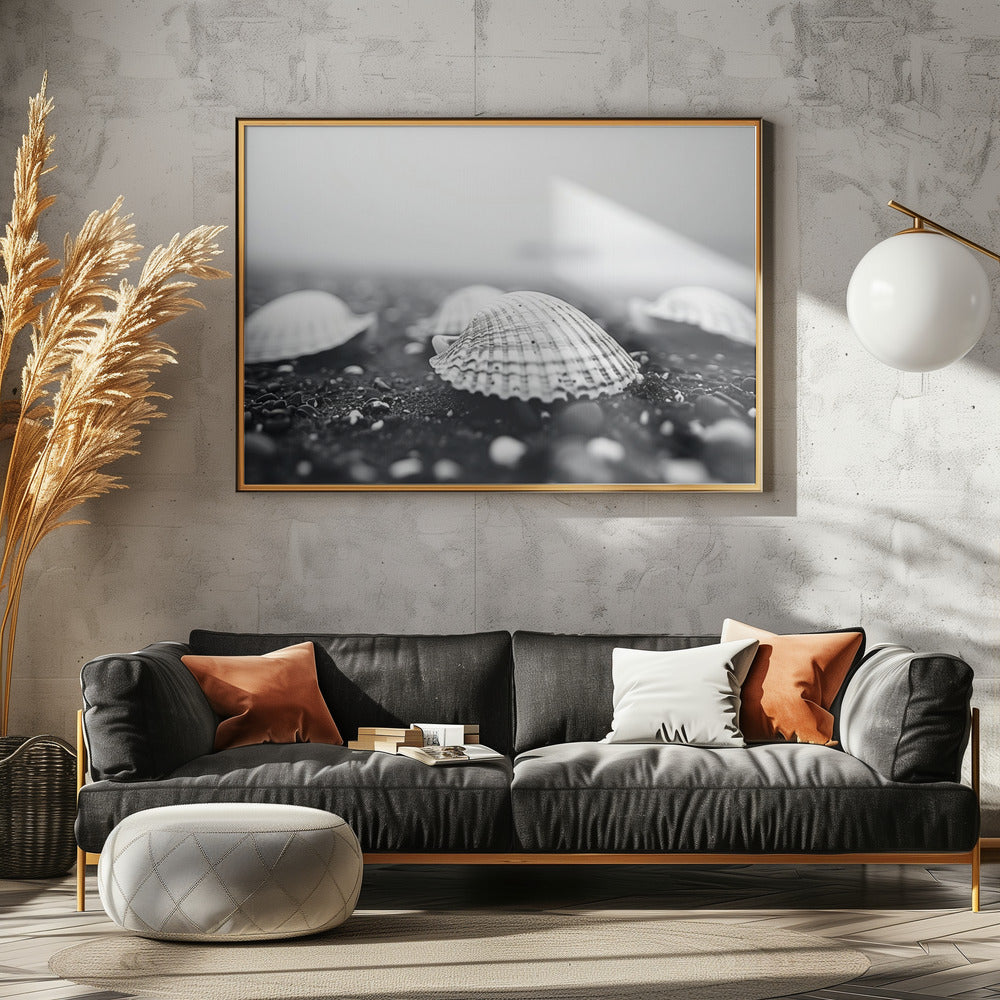 Seashell Serenity | Poster