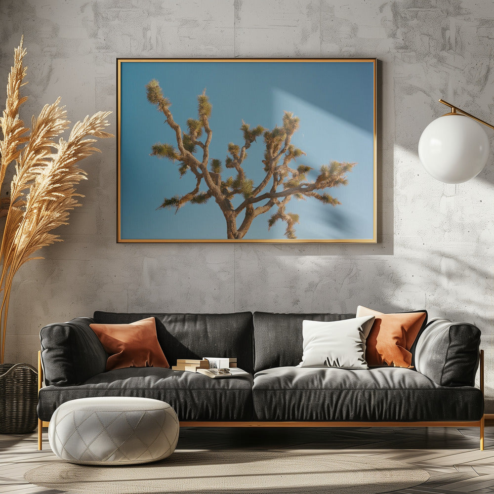 Joshua Tree Mond III | Leinwand