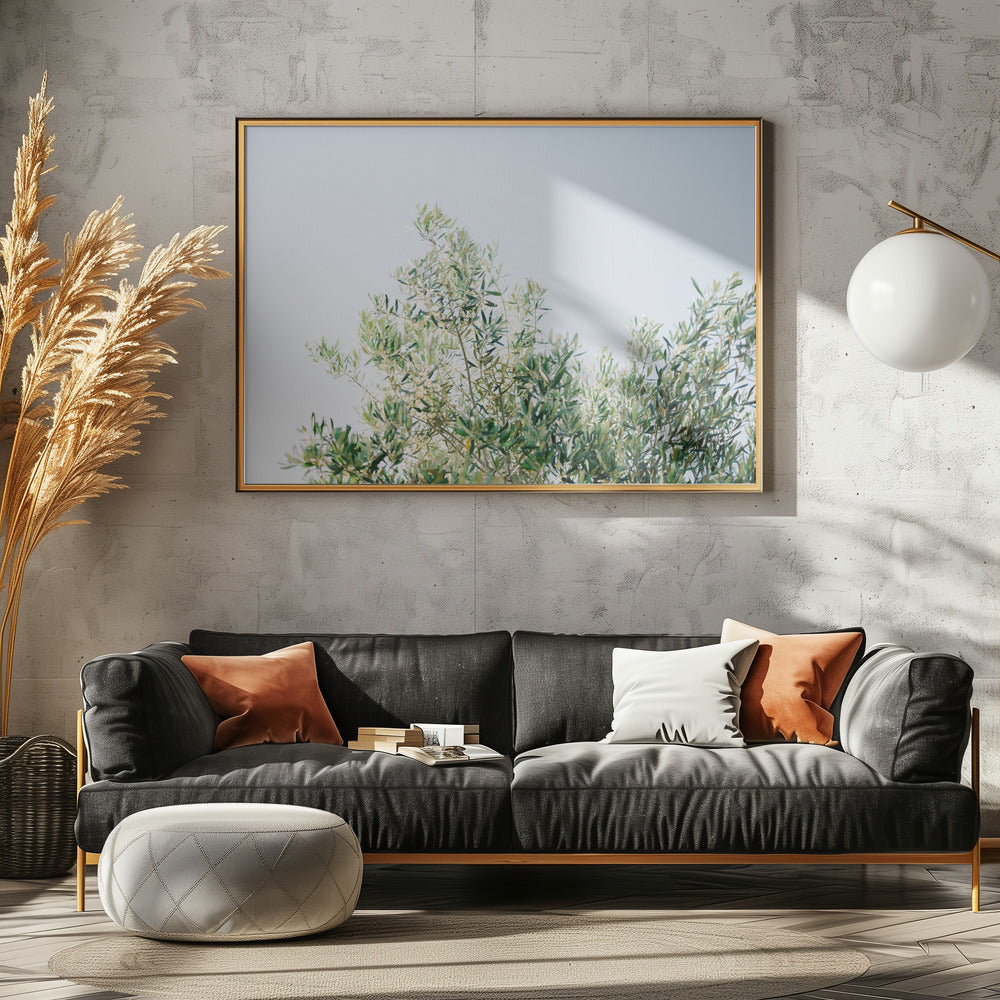 Oliven in Ostuni | Italien Reisefotografie | Poster