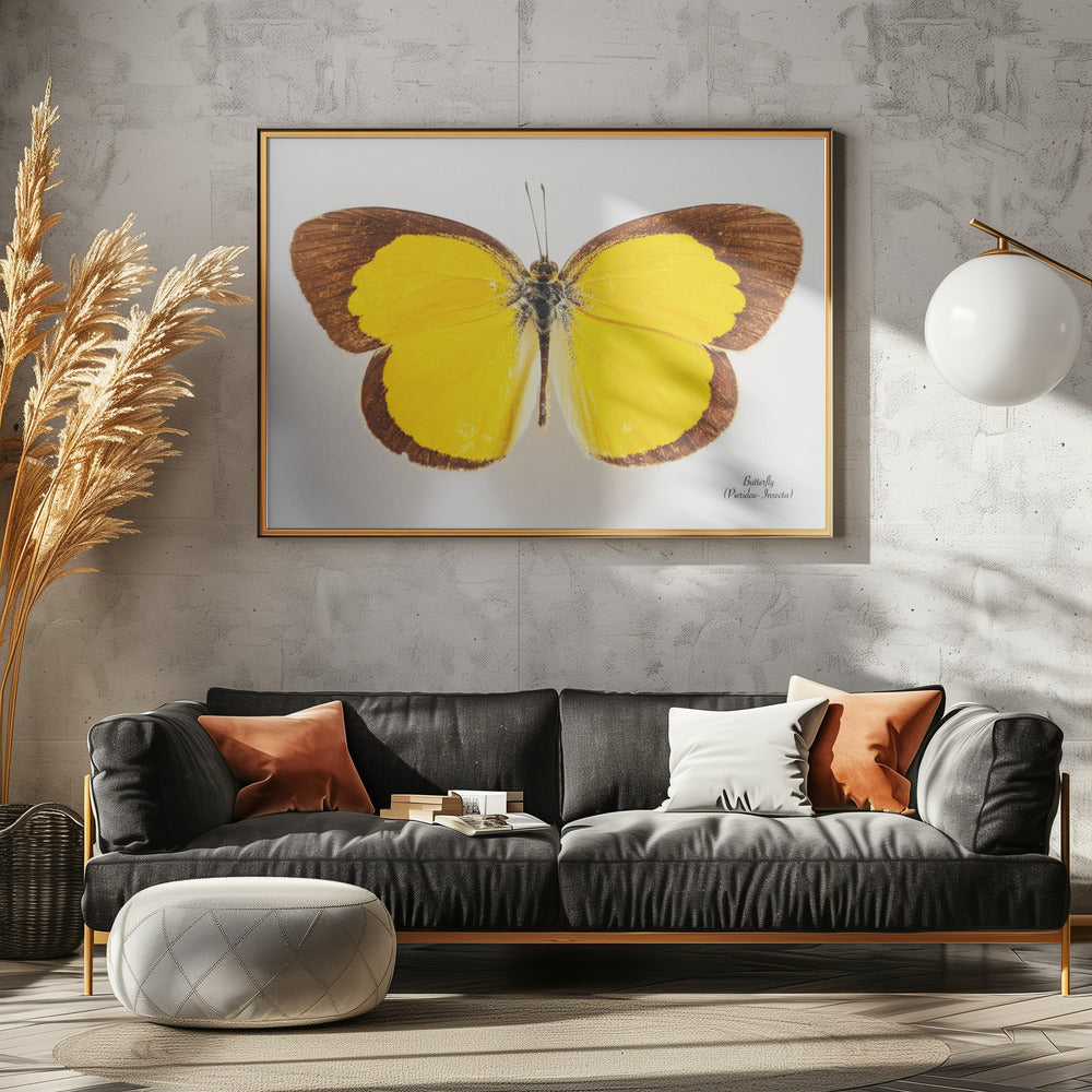 Schmetterling - 2 | Leinwand