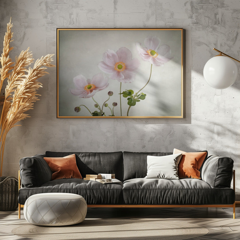 Anemonen | Leinwand